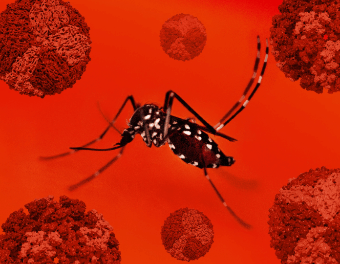 Chikungunya virus outbreak
