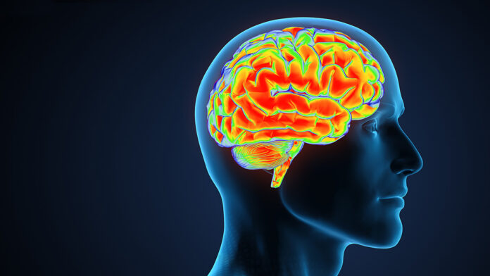 ახალი მოდელი ალცჰაიმერის წლებით ადრე პროგნოზირებისთვის: მეიოს კლინიკის კვლევა