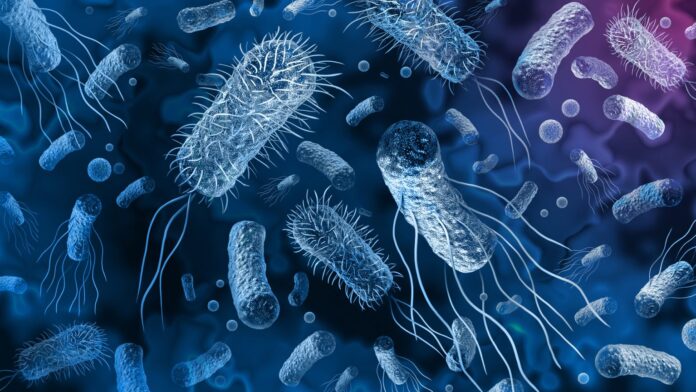 Antibiotic resistance