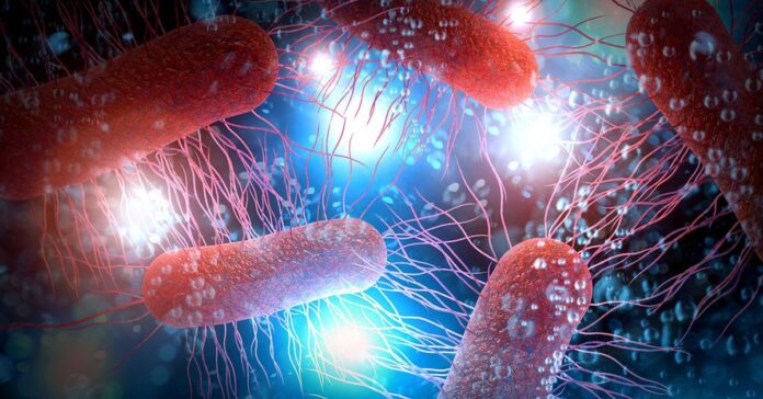 Overcoming Antibiotic Resistance through Genomic Engineering Methods