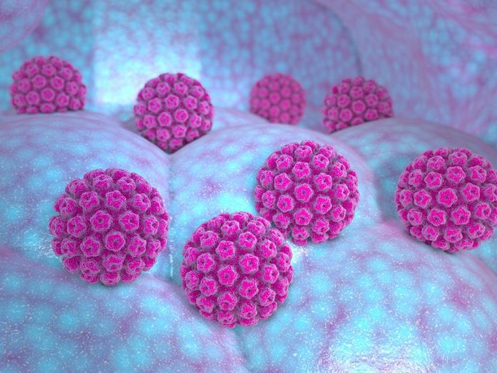 HPV