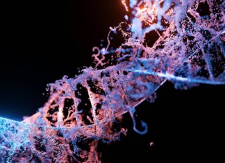 მემკვიდრული ანგიოედემის სამკურნალო 1-ლი in vivo CRISPR თერაპიის მე-3 ფაზამ წარმატებით ჩაიარა მემკვიდრული ანგიოედემის სამკურნალო 1-ლი in vivo CRISPR თერაპიის მე-3 ფაზამ წარმატებით ჩაიარა