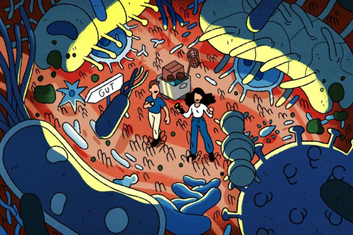 The Gut's Hidden Control Center: Why We Need to Pay More Attention to the Muscularis