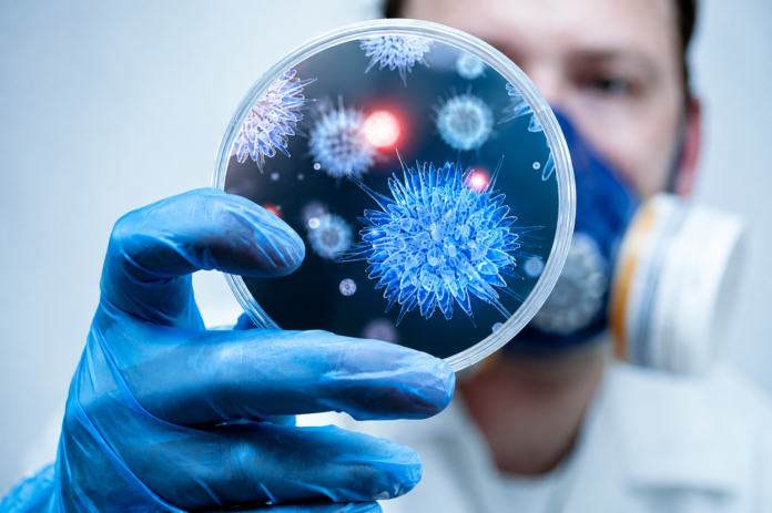 ხელოვნური ინტელექტის გამოყენებით მეცნიერებმა 16 ახალი ვირუსი შექმნეს