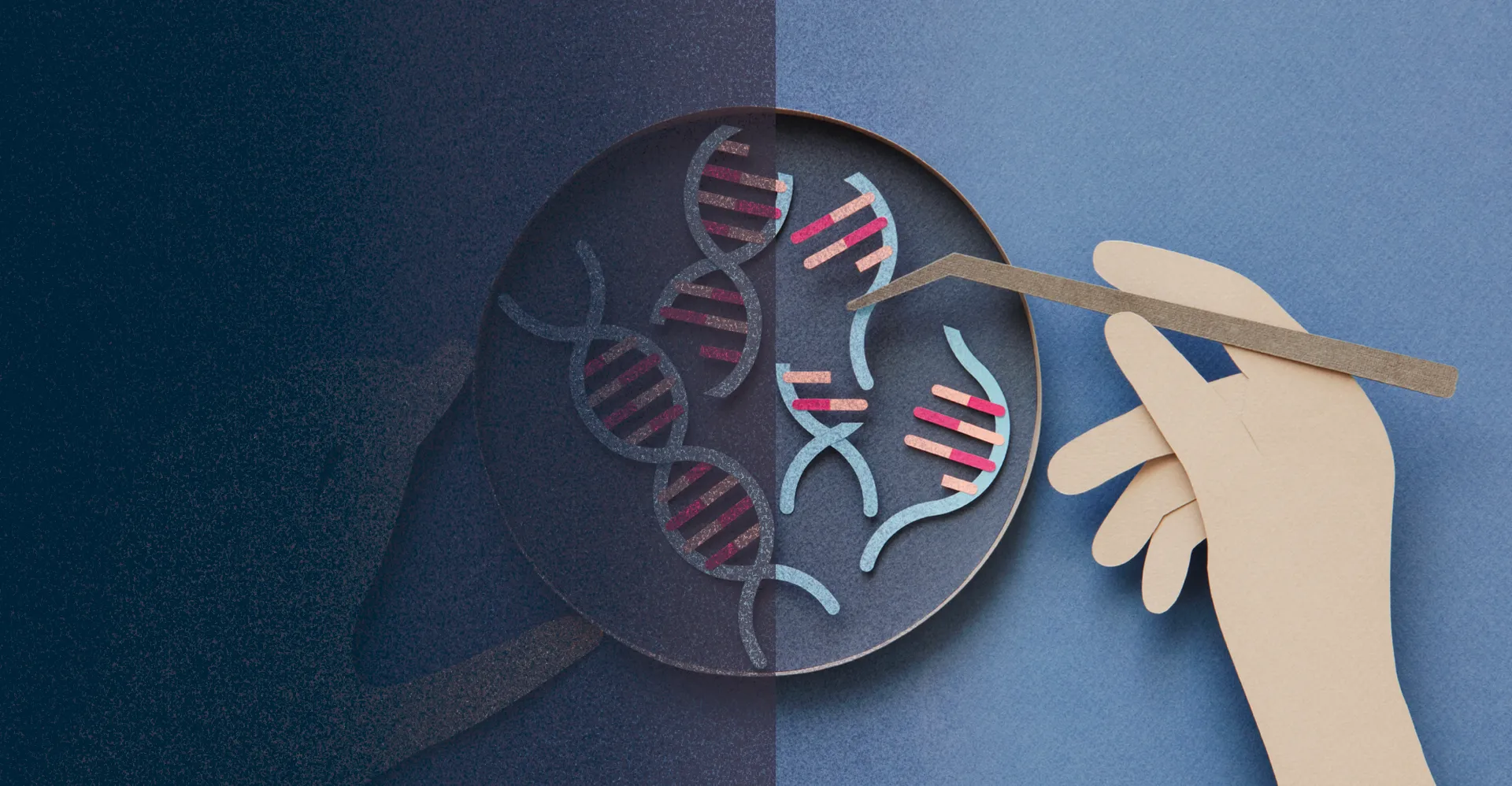 DNA