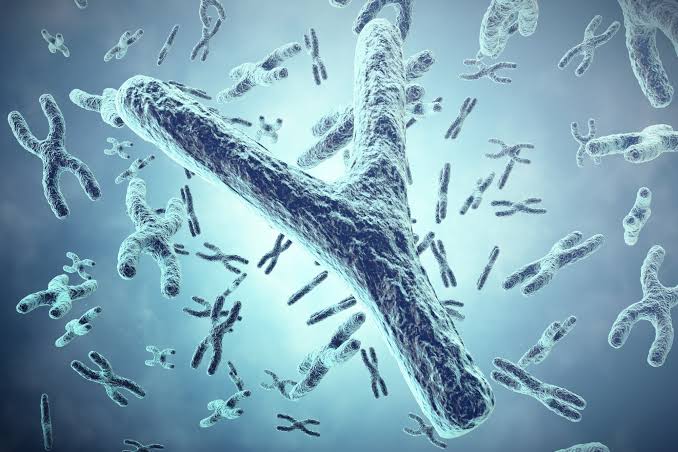 Beyond Sex: The Role of the X and Y Chromosomes in Immunity, Cancer, and Metabolism